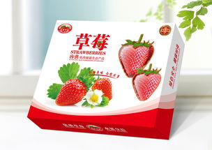 草莓礼盒包装设计 特产包装设计 农副产品包装设计